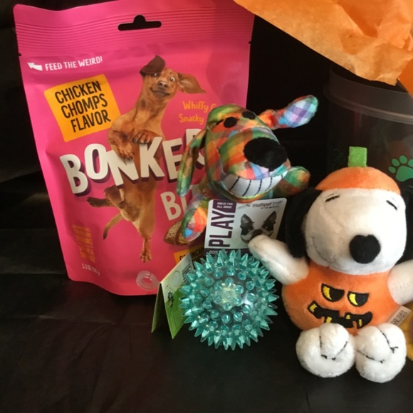 Halloween Boo Bucket for a small Dog - Picture 4 of 7